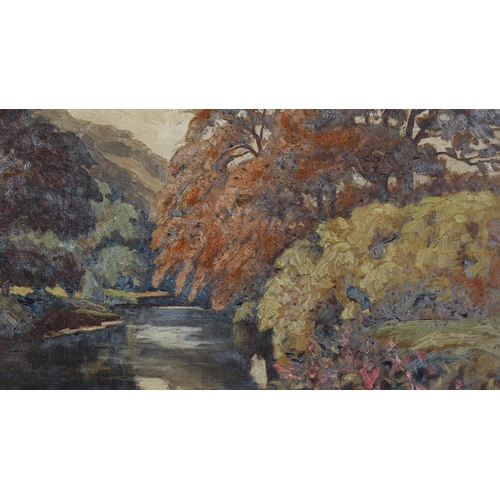 276 - Early to mid-20th century oil on canvas, rural river, signed with monogram ROD, 40cm x 50cm, framed