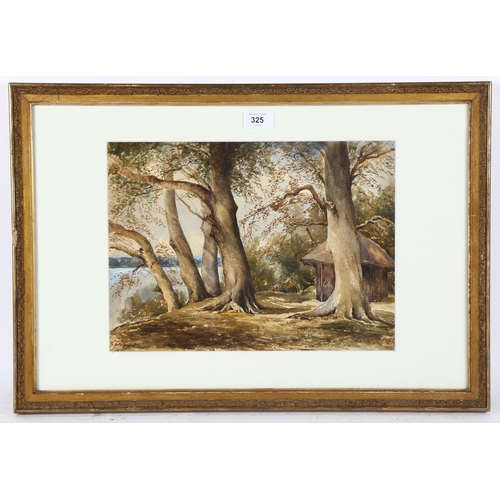 325 - G Hilbert, watercolour, hut by the trees, signed and dated 1868, 27cm x 37cm, framed