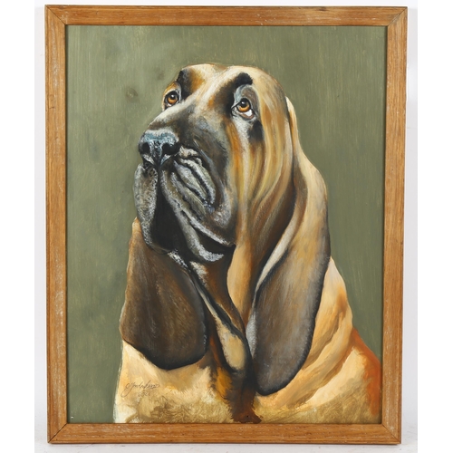 353 - Clive Fredriksson, oil on board, Bloodhound, 50cm x 40cm, framed