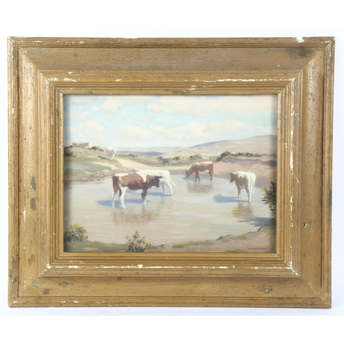 69 - W Matthews, oil on board, cattle in landscape, signed, 30cm x 40cm, framed