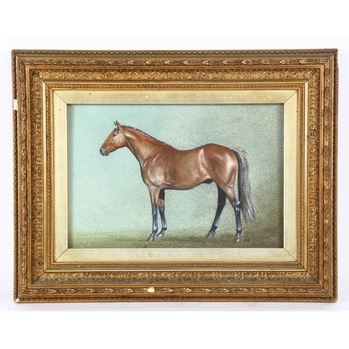 87 - Watercolour/gouache, portrait of a horse, signed with initials PAS, 18cm x 28cm, framed