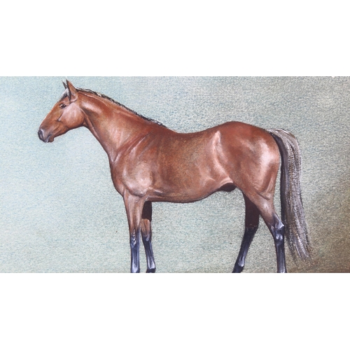 87 - Watercolour/gouache, portrait of a horse, signed with initials PAS, 18cm x 28cm, framed