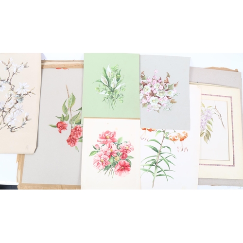 95 - Helen Haynes, folder of botanical watercolours (24)