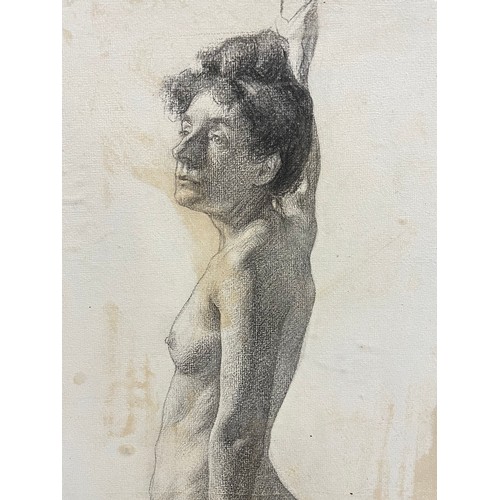 241 - Edith Oenone Somerville (Irish 1857 - 1949), charcoal on paper, nude study, remains of original labe... 