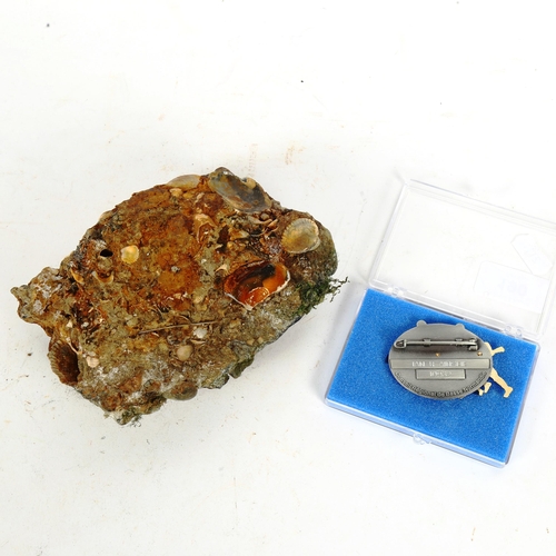 190 - Omaha Beach rock fragment, and Normandy Veteran's medal (2)