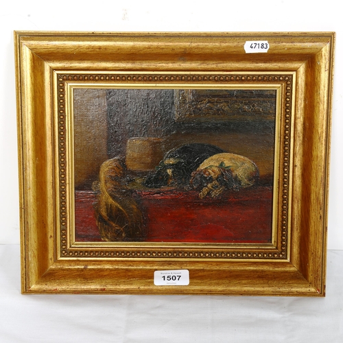 1507 - 19th century oil on board, resting Cavalier King Charles Spaniel dogs, unsigned, framed, overall 29c... 