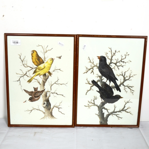 1538 - A pair of watercolours on porcelain, ornithological studies, unsigned, framed, overall 37cm x 27cm