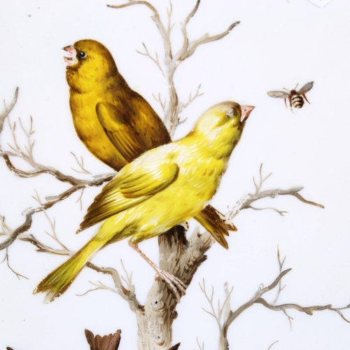 1538 - A pair of watercolours on porcelain, ornithological studies, unsigned, framed, overall 37cm x 27cm