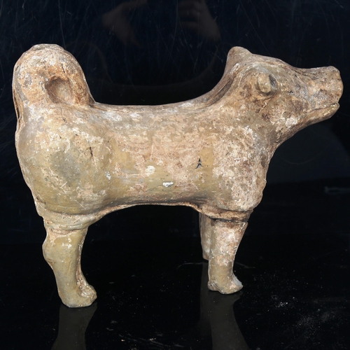 1017 - A Chinese Tang Dynasty pottery standing dog, length 30cm