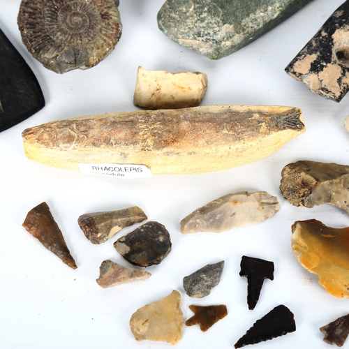 1058 - A collection of fossils, stone and flint hand axes and specimens (3 trays)