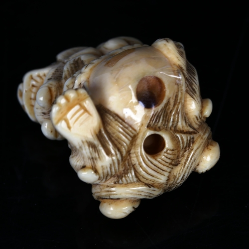 1532 - A Japanese carved ivory netsuke in the form of a dragon, Meiji Period, height 3.5cm