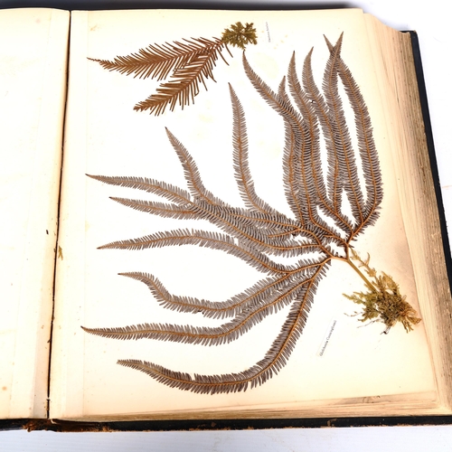 1535 - New Zealand Ferns, leather-bound album containing pressed specimens, inscribed inside cover with dat... 