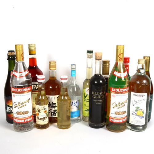 321 - 14 bottles of spirits and liqueurs, including Umeshu Ume Honke plum wine (14)