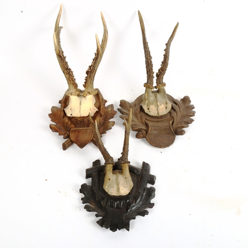 64 - 3 pairs of antlers on oak leaf plaques (3)