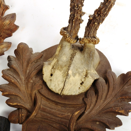 64 - 3 pairs of antlers on oak leaf plaques (3)