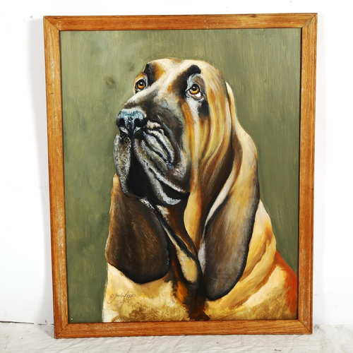 1420 - Clive Fredriksson, oil on board, Bloodhound, framed, overall 54cm x 45cm