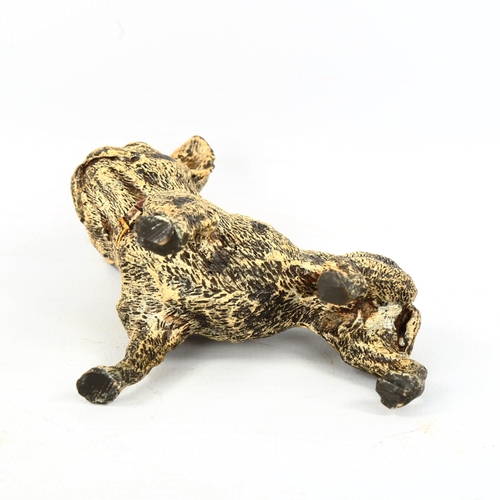 1315 - Austrian cold painted bronze French Bulldog, length 9cm