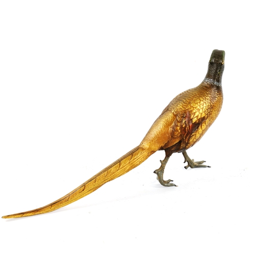 1334 - A large Bergmann style cold painted bronze pheasant, length 35cm