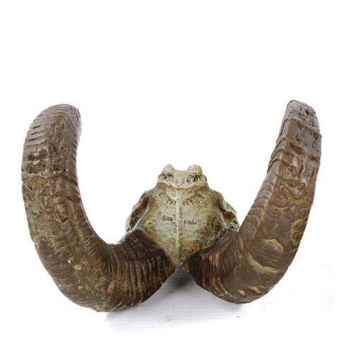 1329 - Cold painted and patinated bronze ram skull, height 8cm