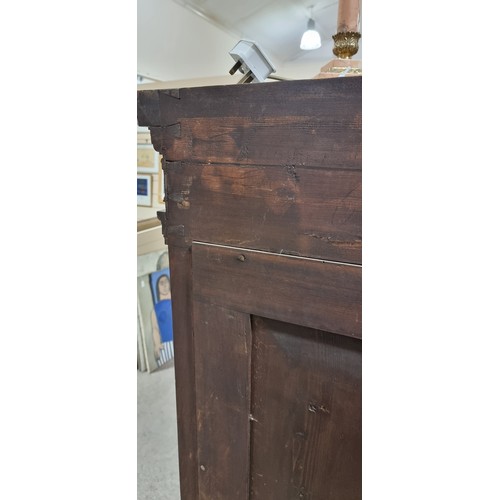 1378 - An impressive 19th century Neo-Classical design walnut 2-door cupboard, the 2 finely carved and pane... 
