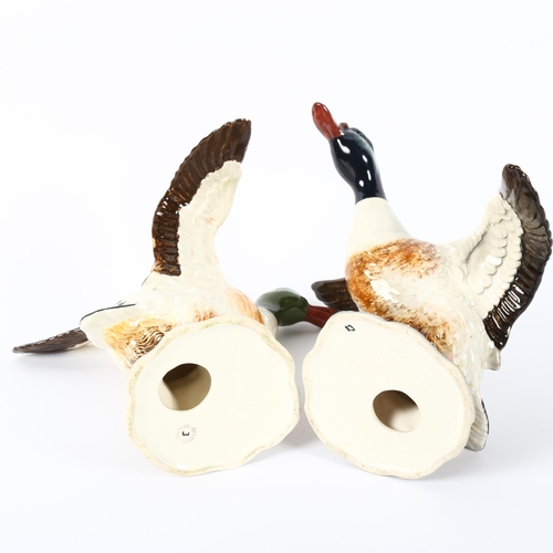 520 - A pair of Beswick shelduck with outstretched wings, 994 and 995