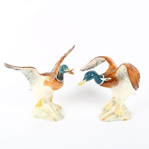523 - A pair of Beswick mallards, with outstretched wings, 749 and 750