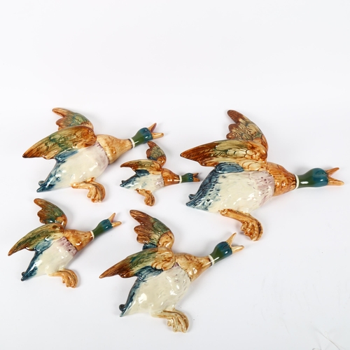 534 - A graduated group of 5 flying Mallard ducks, 596/0,/1 2 3 and 4