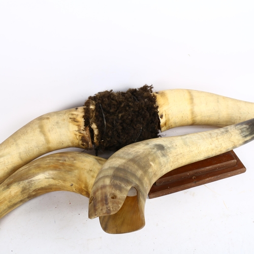775 - A pair of buffalo horns, a horn fish design lamp, and powder flask