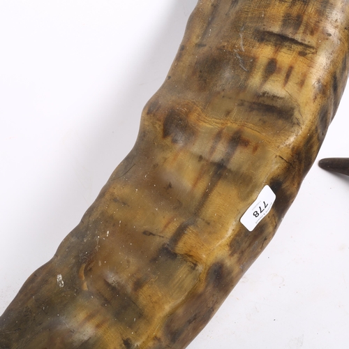 778 - A large pair of buffalo horns, length 92cm