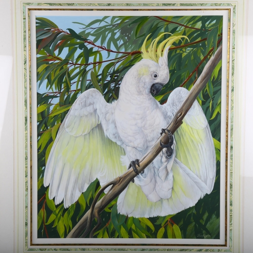 1606 - James Renny (born 1946), gouache, sulphur crested cockatoo, signed and date 1990, 58cm x 48cm, frame... 