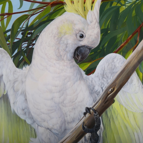 1606 - James Renny (born 1946), gouache, sulphur crested cockatoo, signed and date 1990, 58cm x 48cm, frame... 