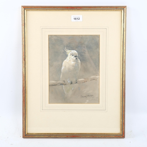 1612 - John Murray Thomson RSA RSW (1885 - 1974), watercolour, cockatoo, signed, 24cm x 18cm, framed, prove... 