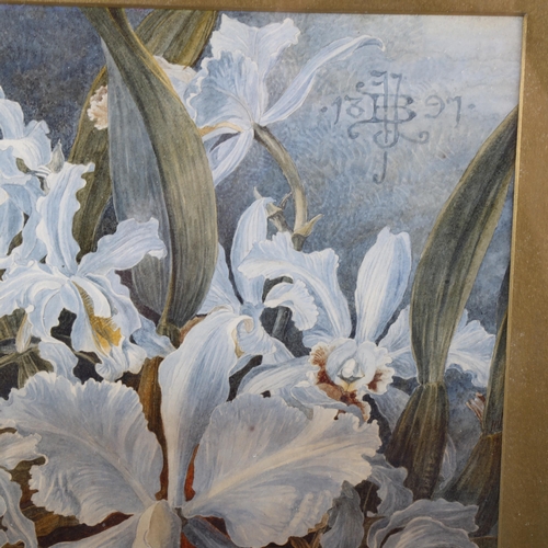 1635 - 19th century watercolour, white orchids, signed with monogram, dated 1897, 38cm x 26cm, framed