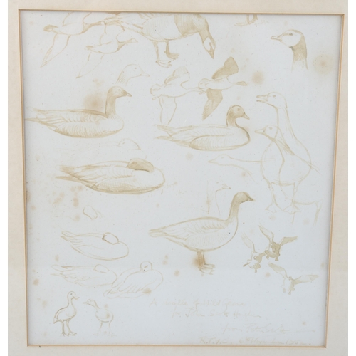 1666 - Sir Peter Scott, 2 sheets of pen and ink sketches of geese, signed and inscribed with date 1952, mou... 