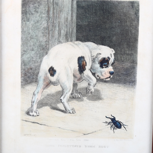 1821 - W H Trood, pair of hand coloured engravings, caricature studies of a puppy and a beetle, plate size ... 