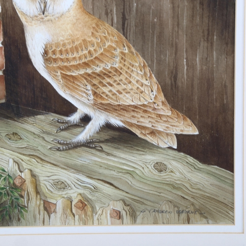 1842 - Andrew Osborne, watercolour, owl, signed, 43cm x 28cm, framed