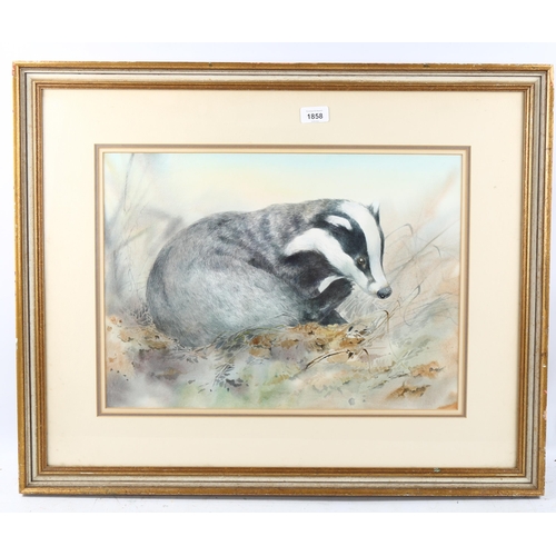 1858 - Trevor Parkin, watercolour, badger, signed, Exhibition label verso, 35cm x 50cm, framed