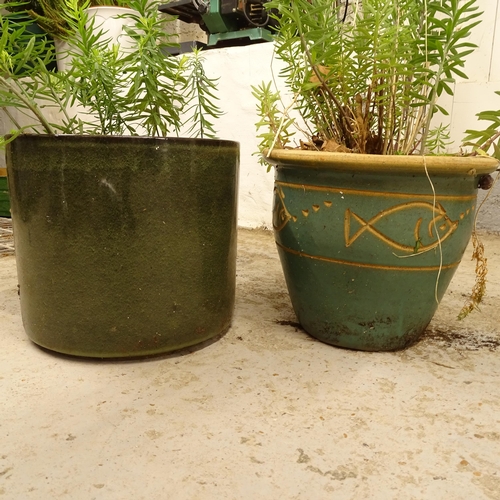 2723 - 2 glazed terracotta garden pots, containing plants, largest 29cm, H26cm