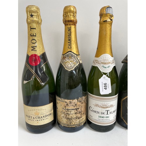 486 - 12 bottles of various Champagne and other sparkling wine, including Moet and Lanson