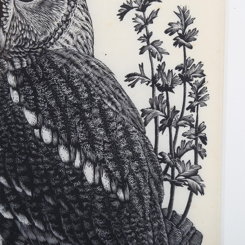 2060 - Charles Tunnicliffe (1901 - 1979), wood engraving, barn owl, signed in pencil, no. 7/50, image 33cm ... 