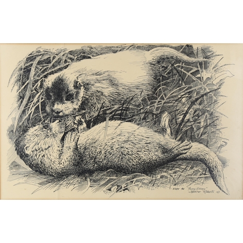 2062 - Spencer Roberts, pen and ink, young otters, signed and dated 1971, 33cm x 51cm, framed