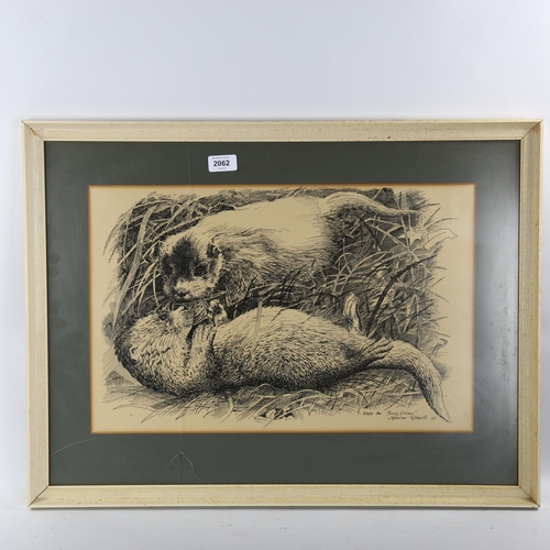 2062 - Spencer Roberts, pen and ink, young otters, signed and dated 1971, 33cm x 51cm, framed