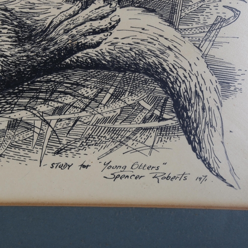 2062 - Spencer Roberts, pen and ink, young otters, signed and dated 1971, 33cm x 51cm, framed