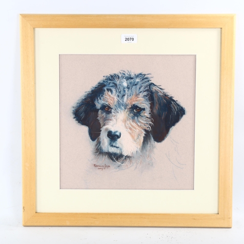 2070 - Patricia Jago, coloured pastels, dog study, signed and dated 2003, 32cm x 32cm, framed