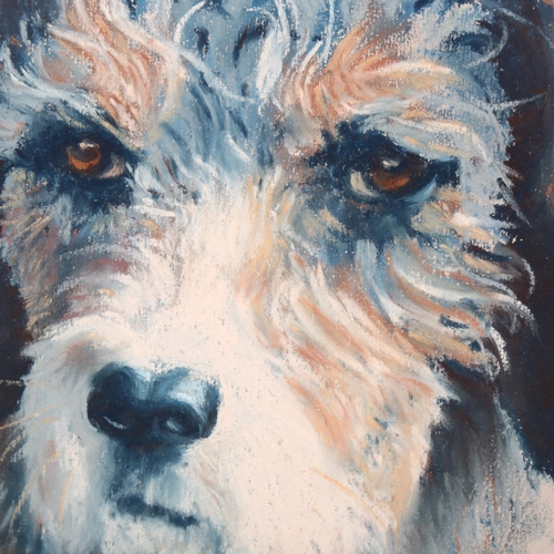 2070 - Patricia Jago, coloured pastels, dog study, signed and dated 2003, 32cm x 32cm, framed