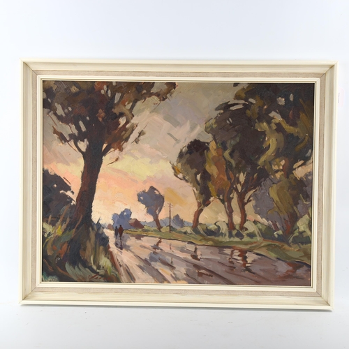 2107 - C S Kind, mid-20th century oil on board, after rain, signed, 45cm x 60cm, framed