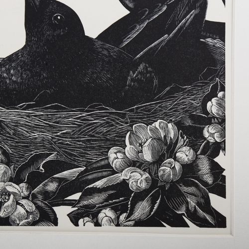 2131 - Claire Leighton (1898-1989), wood engraving on paper, Blackbird on Nest, 17.5cm x 12.3cm, printed on... 