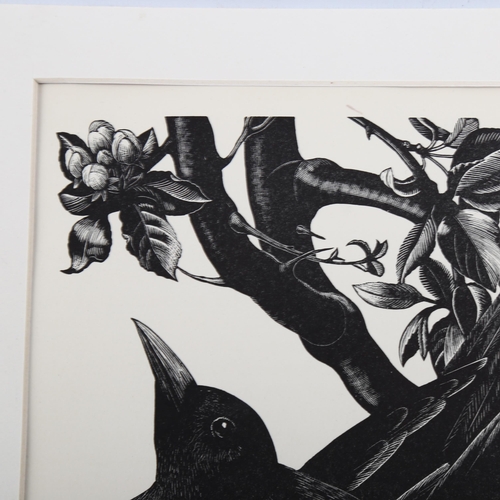 2131 - Claire Leighton (1898-1989), wood engraving on paper, Blackbird on Nest, 17.5cm x 12.3cm, printed on... 