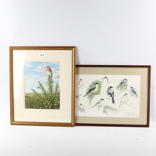 2211 - S Message, watercolour, bird and butterfly, 28cm x 21cm, group of bird sketches by the same hand, an... 