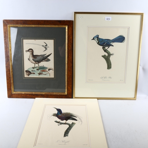 2213 - A group of 19th and 20th century ornithology prints, hand coloured lithographs etc (6)